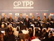 Đại diện 11 nước thành viên ký kết CPTPP tại Chile vào tháng 3/2018. Ảnh: Reuters.