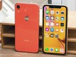 Doanh số không như kỳ vọng khiến Apple ngừng tăng sản xuất iPhone XR.