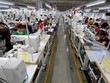 Công nhân trong một nhà máy may ở Vĩnh Phúc. Ảnh: Reuters.