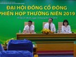 ĐHCĐ PSE: Năm 2019, Đạm Phú Mỹ vẫn là sản phẩm chủ lực chiếm tỷ trọng 63% tổng sản lượng