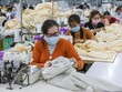 Công nhân may tại một công ty ở Long An. Ảnh: Như Quỳnh.