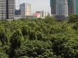 Cả nước hiện có hàng trăm dự án đang gặp vướng mắc liên quan tới đất đai. Ảnh: Dũng Minh.