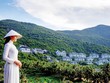 Thị trường địa ốc bước vào giai đoạn phát triển chiều sâu.