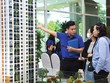 Nhà đầu tư không còn dễ dàng xuống tiền theo tâm lý đám đông. Ảnh: Dũng Minh.