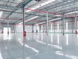 Nhu cầu kho xưởng xây sẵn đang tăng nhanh. Ảnh: Thành Nguyễn.