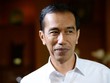 Tổng thống Indonesia Joko Widodo
