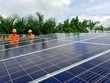 Điện mặt trời mái nhà, người tiêu dùng chưa sẵn sàng vì chính sách hỗ trợ quá ngắn, chi trả chậm,...