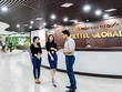 Viettel Global (VGI): Lợi nhuận trước thuế quý 4/2019 tăng mạnh, đạt 606 tỷ đồng