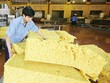Xuất khẩu cao su giảm mạnh 2 tháng đầu năm