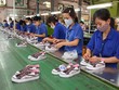 IPO hơn 1,9 triệu cổ phiếu Giầy Thượng Đình