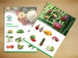 IPO Công ty mẹ Vegetexco thu hơn 278 tỷ đồng