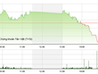 Phiên giao dịch chiều 1/2: VNM không cứu nổi thị trường