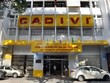 Cadivi (CAV) bị truy thu và nộp phạt gần 16 tỷ đồng tiền thuế