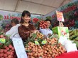 Xúc tiến xuất khẩu vải thiều Hải Dương ra nước ngoài