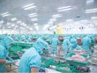 IDI góp phần đưa kim ngạch xuất khẩu thủy sản tăng trưởng hai con số.