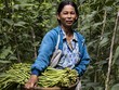 Quỹ Mekong Enterprise Fund IV và HUSK ký thỏa thuận đầu tư 5 triệu USD nhằm thúc đẩy nông nghiệp tái tạo tại Đông Nam Á