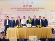 Đại diện Ban Lãnh đạo Hòa Bình và Tập đoàn Gold Coast Holdings tại buổi ký kết.