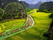 Du khách trải nghiệm Tuần du lịch Ninh Bình trên cánh đồng Tam Cốc. 