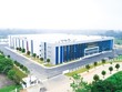 Phenikaa Group của đại gia Hồ Xuân Năng báo lãi năm 2024 hơn 850 tỷ đồng