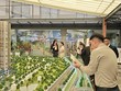 Chỉ lượng nhỏ nguồn cung căn hộ dưới 3 tỷ được bổ sung vào thị trường