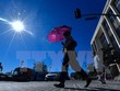 Cảnh nắng nóng trên đường phố Los Angeles, Mỹ ngày 24/10.