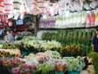 Chợ hoa đêm lớn nhất Sài Gòn chuẩn bị vào vụ Tết