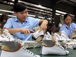 Một nhà máy sản xuất giày dép Việt Nam. Ảnh: TTXVN.
