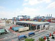 Tân Cảng Cát Lái gặp khó vì hơn 7.000 container nhựa, giấy phế liệu tồn đọng