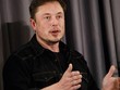 Elon Musk thuộc mẫu CEO không thích hội họp nhiều. Ảnh: Bloomberg
