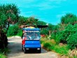 Người dân Lý Sơn lái xe điện bốn bánh đưa du khách tham quan. Ảnh: Phạm Linh.