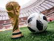 VTV chưa thể khẳng định có hay không bản quyền World Cup 2018. Ảnh: Getty.