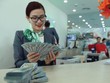 Nhiều tổ chức tín dụng đang cho vay ngoại tệ với lãi suất 2%/năm. Ảnh: Đức Thanh.