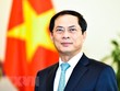 Thứ trưởng Thường trực Bộ Ngoại giao Bùi Thanh Sơn (Ảnh: Vietnam+)