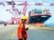 Tốc độ tăng trưởng xuất khẩu của Trung Quốc được dự báo sẽ đi xuống.