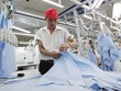 Quý cuối năm thường là mùa kinh doanh cao điểm của ngành dệt may
