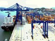 Phí dịch vụ cảng biển tại Việt Nam đang thấp nhất khu vực