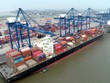 Cảng HICT đón tàu Northern Jaguar sức chở hơn 8.800 TEUs. Ảnh: hict.net.vn