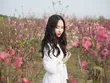 Cô gái Hà Nội chụp hình ở vườn đào Nhật Tân dịp Tết 2019. Ảnh: Tài Hoàng.