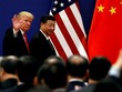 Tổng thống Mỹ Donald Trump và Chủ tịch Trung Quốc Tập Cận Bình. Ảnh: Reuters