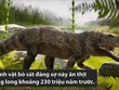 Cá sấu ăn thịt khủng long cách đây 230 triệu năm