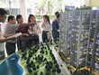 Các nhà đầu tư bất động sản xem dự án lấy may đầu năm.