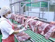 Sản phẩm thịt lợn sau khi chế biến được để trên giá đảm bảo vệ sinh thực phẩm. (Ảnh: Vũ Sinh/TTXVN).