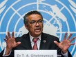 Tổng Giám đốc Tổ chức Y tế thế giới Tedros Adhanom Ghebreyesus. Ảnh: AP.