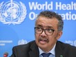 Tổng Giám đốc WHO Tedros Adhanom Ghebreyesus. Ảnh:
 AFP.