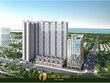 CITIGRAND, môi trường sống trong lành với mật độ cây xanh cao gấp 9 lần nội thành.
