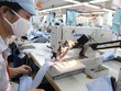Dệt may càng cuối năm càng khó