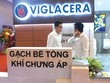 Dự kiến, trong tháng 11 - 12/2020, Nhà nước sẽ thoái toàn bộ vốn tại Viglacera. Ảnh: Dũng Minh.
