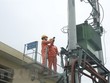 Công nhân Công ty Điện lực Đông Anh kiểm tra công tác đảm bảo điện. (Ảnh: Mạnh Khánh/TTXVN).