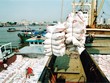 Hoạt động xuất khẩu gạo thuận lợi trong bối cảnh dịch Covid.
