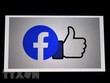 Biểu tượng Facebook trên màn hình điện thoại di động tại Arlington, Virginia, Mỹ. (Ảnh: AFP/TTXVN).